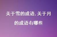 关于月的成语有哪些【精品文案100句】