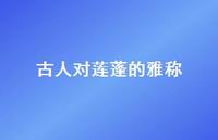 古人对莲蓬的雅称(精选55句)