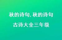 秋的诗句 古诗大全三年级【精品文案100句】