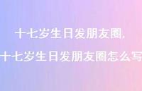 十七岁生日发朋友圈怎么写【精选100句】 十七岁生日发朋友圈怎么写【精选100句】