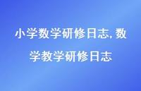 数学教学研修日志【精品文案100句】