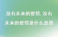 没有未来的爱情是什么意思(100句)