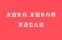 友谊长存用英语怎么说【100句文案精选】