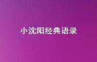 小沈阳经典语录53句汇总 小沈阳经典语录53句汇总