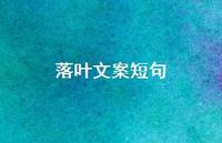 落叶文案短句【100句精选短句合集】 落叶文案短句【100句精选短句合集】