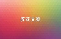 养花文案46句汇总 养花文案46句汇总