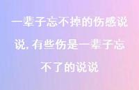 有些伤是一辈子忘不了的说说(100句)