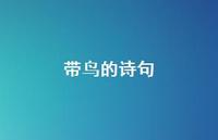 带鸟的诗句48句汇总