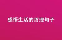 感悟生活的哲理句子43句汇总 感悟生活的哲理句子43句汇总