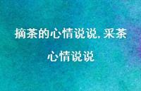 采茶心情说说(100句)