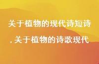 关于植物的诗歌现代【100句文案精选】 关于植物的诗歌现代【100句文案精选】