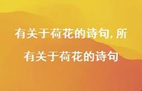 所有关于荷花的诗句【精品文案100句】