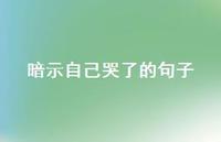 暗示自己哭了的句子【100句精选短句合集】