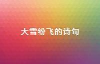 大雪纷飞的诗句53句汇总