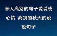 离别的秋天的说说句子【100句文案】 离别的秋天的说说句子【100句文案】