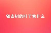 银杏树的叶子像什么59句汇总 银杏树的叶子像什么59句汇总