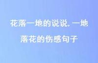 一地落花的伤感句子【100句文案】