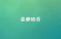 姜夔暗香45句汇总 姜夔暗香45句汇总