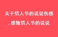 感慨情人节的说说【100句文案】 感慨情人节的说说【100句文案】