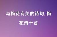 梅花诗十首【100句文案精选】
