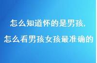 怎么看男孩女孩最准确的(100句)