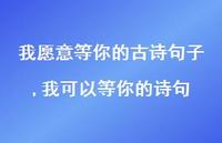 我可以等你的诗句(100句)