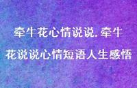 牵牛花说说心情短语人生感悟(100句)