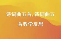 诗词曲五首教学反思【100句文案精选】