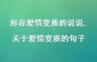 关于爱情变质的句子(100句) 关于爱情变质的句子(100句)