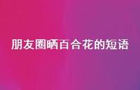 朋友圈晒百合花的短语(精选67句) 朋友圈晒百合花的短语(精选67句)