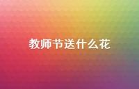 教师节送什么花49句汇总