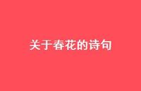 关于春花的诗句36句汇总