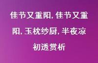 佳节又重阳,玉枕纱厨,半夜凉初透赏析【100句文案精选】