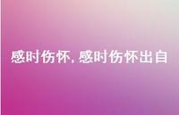 感时伤怀出自【精品文案100句】 感时伤怀出自【精品文案100句】