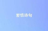 爱情诗句75句汇总 爱情诗句75句汇总