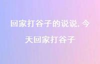 今天回家打谷子(100句)