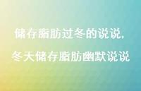 冬天储存脂肪幽默说说(100句)