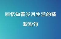 回忆知青岁月生活的精彩短句【100句精选短句合集】