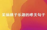 采摘桃子乐趣的唯美句子【100句精选短句合集】