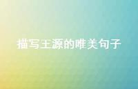 描写王源的唯美句子42句汇总