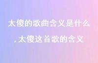 太傻这首歌的含义【精选100句】