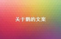 关于鹅的文案【100句精选短句合集】