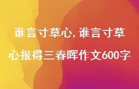 谁言寸草心报得三春晖作文600字【100句文案精选】