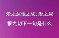 爱之深恨之切下一句是什么【100句文案精选】