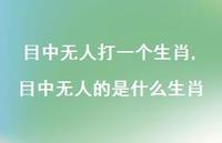 目中无人的是什么生肖(85句)