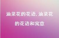 油菜花的花语和寓意【100句文案精选】