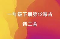 一年级下册第12课古诗二首(精选70句) 一年级下册第12课古诗二首(精选70句)