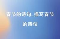 描写春节的诗句【100句文案精选】