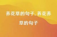 养花养草的句子(100句)