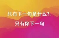 只有你下一句(100句) 只有你下一句(100句)